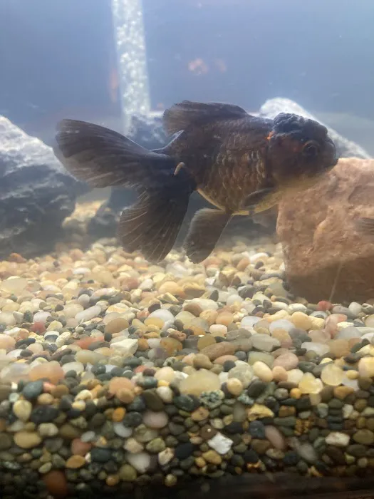 Fish Warehouse Picture 4