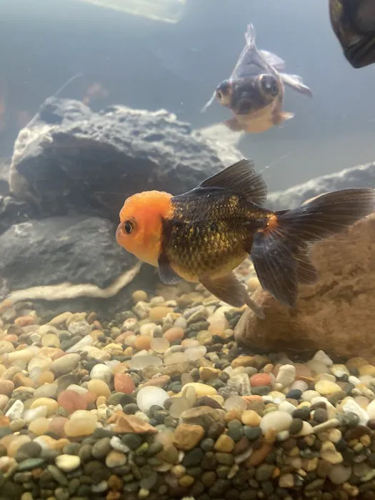 Fish Warehouse Picture 2