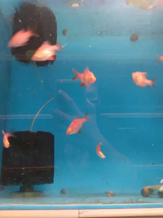 Fish Warehouse Picture 6