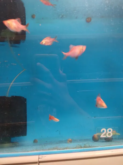 Fish Warehouse Picture 7