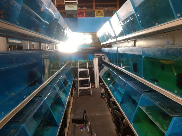 Fish Warehouse Picture 10
