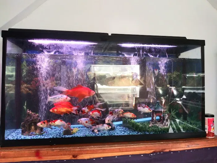 Fish Warehouse Picture 9