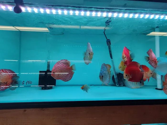 The Fin Shop Picture 2