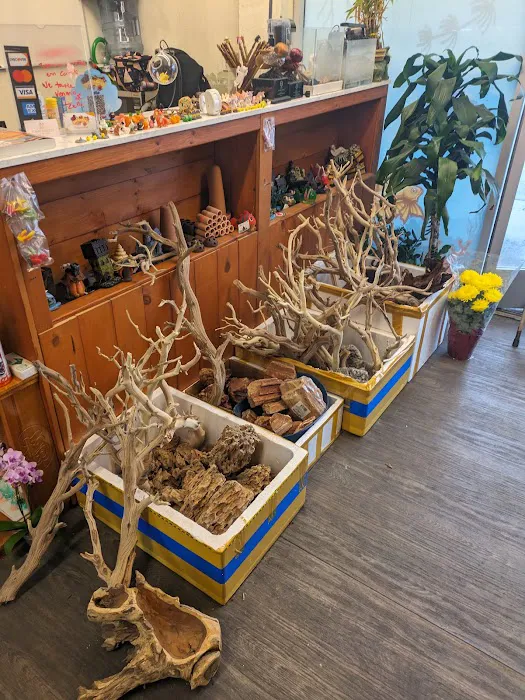 The Fin Shop Picture 4