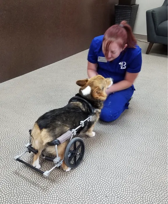 Bark Avenue Animal Hospital Picture 1