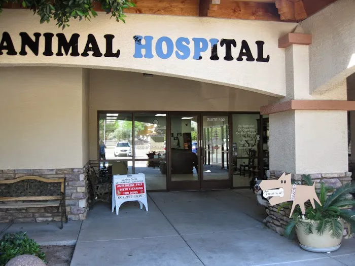 Bark Avenue Animal Hospital Picture 6