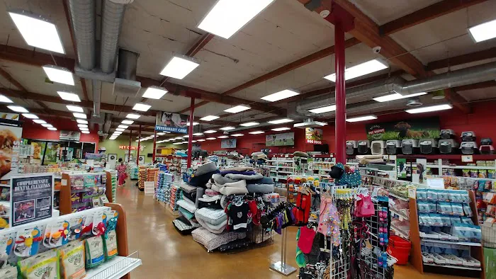 PET DEPOT La Verne Picture 7