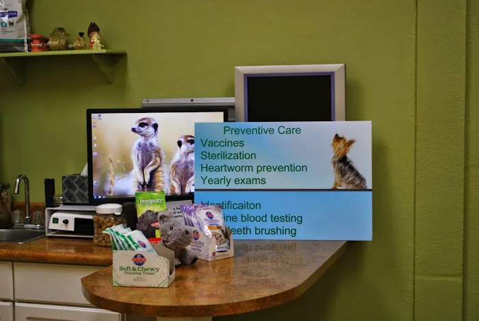 Anasazi Animal Clinic Picture 2