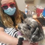 Anasazi Animal Clinic