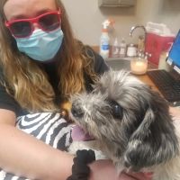 Anasazi Animal Clinic ico
