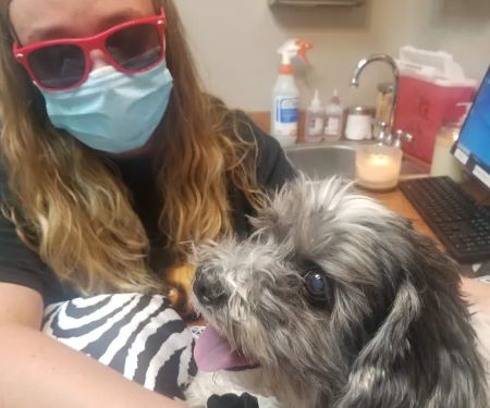 Anasazi Animal Clinic