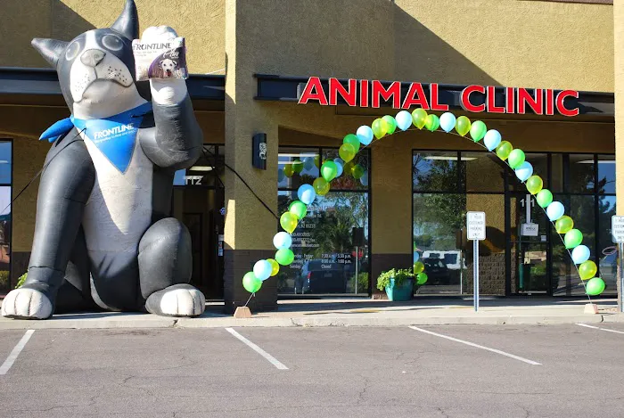 Anasazi Animal Clinic Picture 5