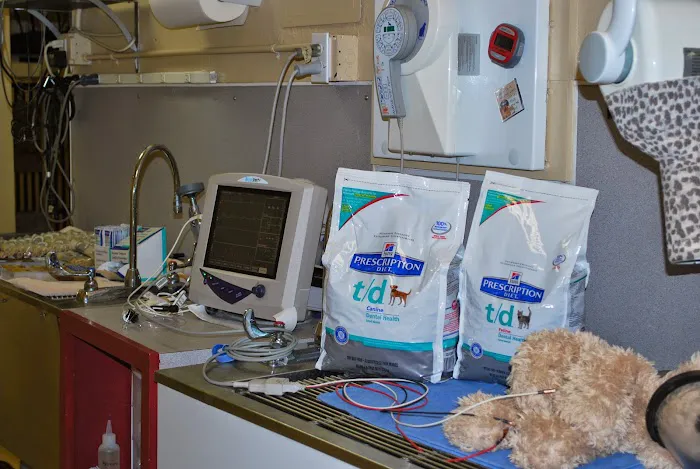 Anasazi Animal Clinic Picture 9