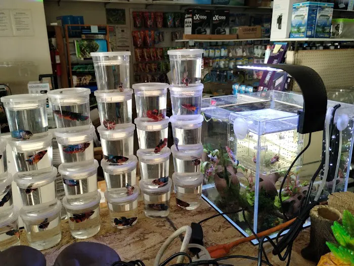 Foothill Aquatic & Pets Picture 4