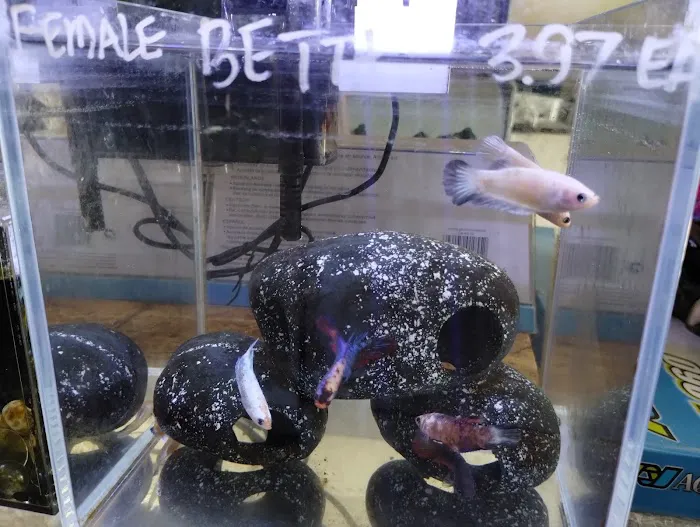 Foothill Aquatic & Pets Picture 5
