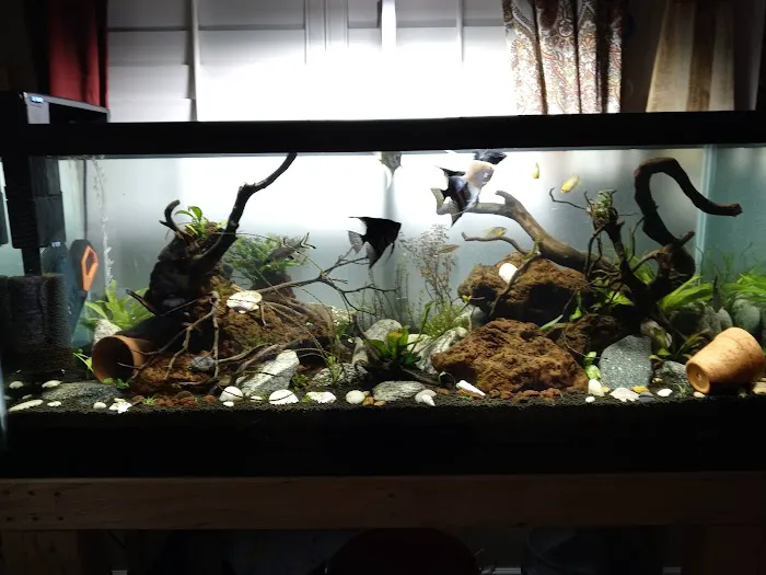 Foothill Aquatic & Pets Picture 6