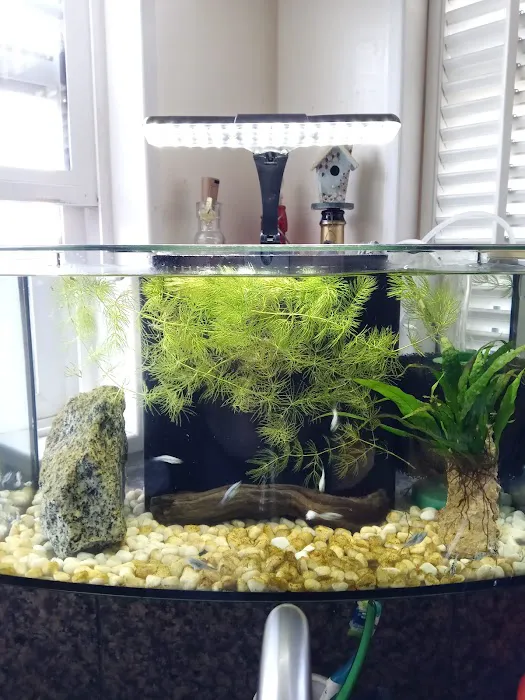 Foothill Aquatic & Pets Picture 10