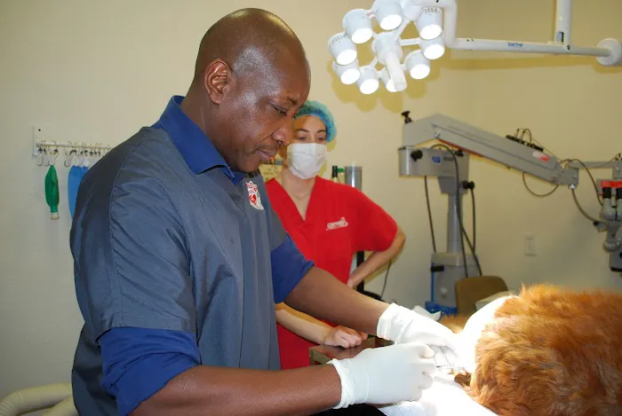 East Valley Animal Hospital Picture 3