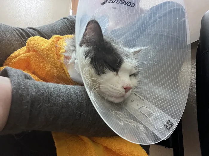Arizona Veterinary Emergency & Critical Care Center (AVECCC) Picture 5