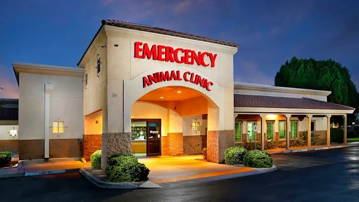 Arizona Veterinary Emergency & Critical Care Center (AVECCC) Picture 9