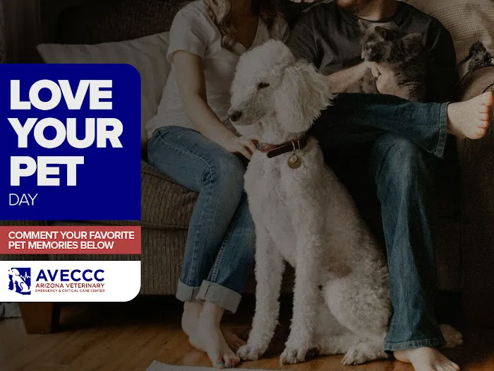 Arizona Veterinary Emergency & Critical Care Center (AVECCC) Picture 10