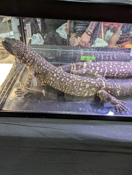 Reptile Super Show | LA Pet Fair Picture 3