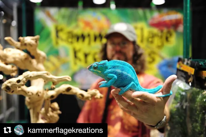 Reptile Super Show | LA Pet Fair Picture 10