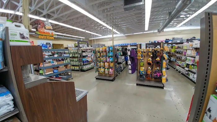 Unleashed by Petco Picture 10
