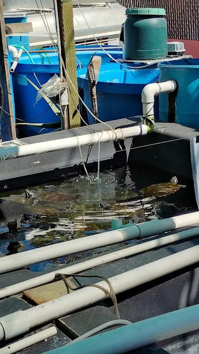 Fish City Koi & Tropical Fish Picture 7