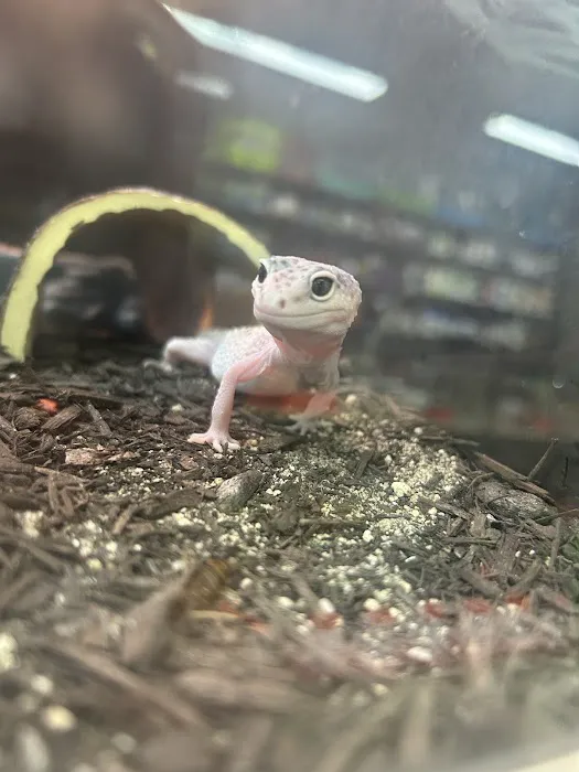 PET ZONE Picture 2