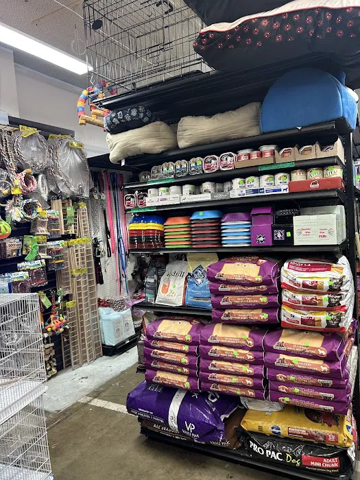 PET ZONE Picture 6