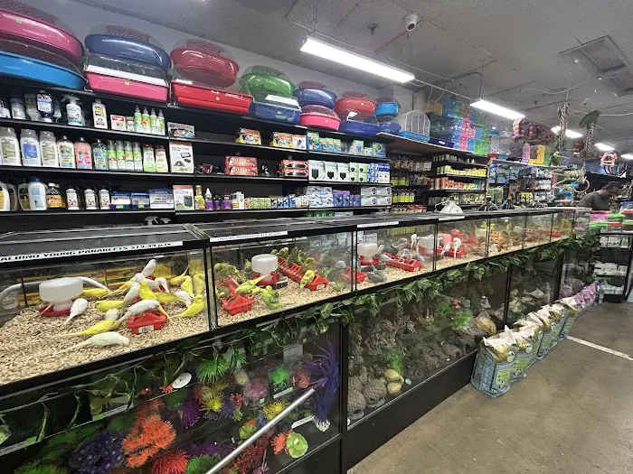 PET ZONE Picture 3
