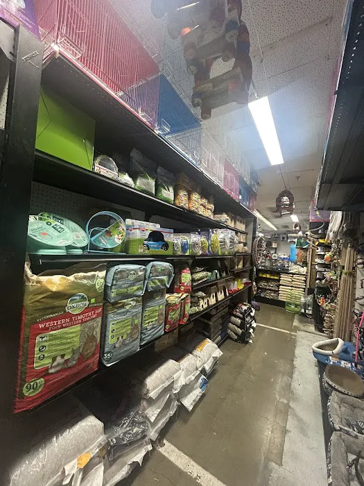 PET ZONE Picture 10