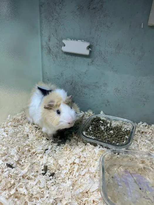 PET ZONE Picture 8