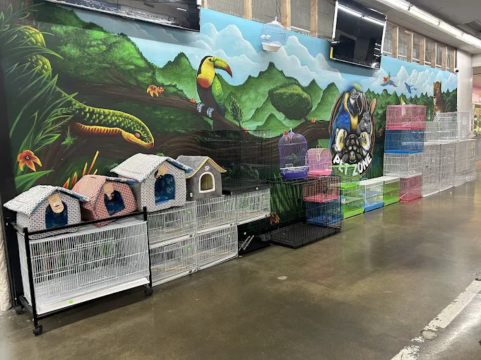 PET ZONE Picture 7