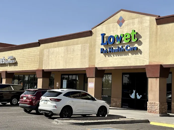 Lovet Pet Health Care - Fletcher Heights Picture 10