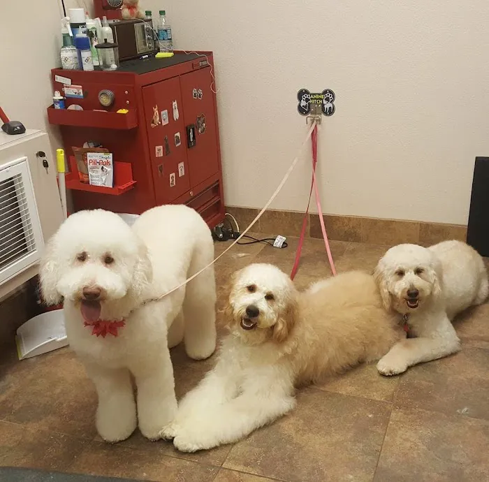 Lovet Pet Health Care - Fletcher Heights Picture 7