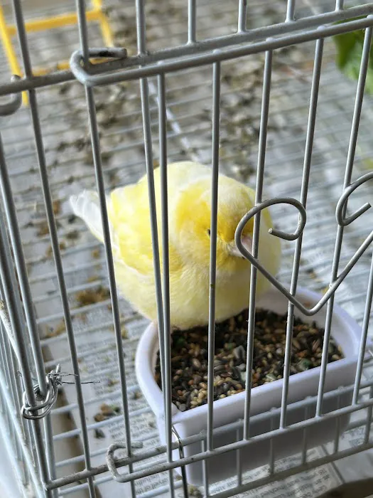 Feathered Friends & Critters Picture 1