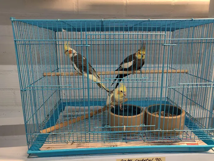 Feathered Friends & Critters Picture 5