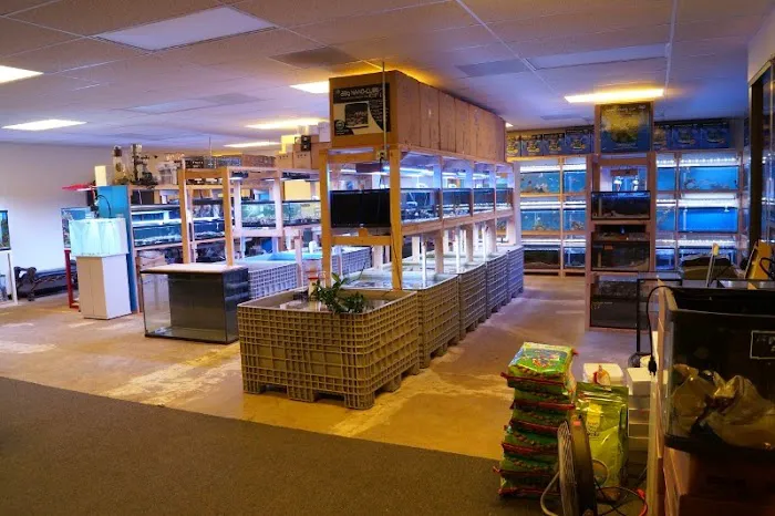 Reef Lounge USA Picture 3