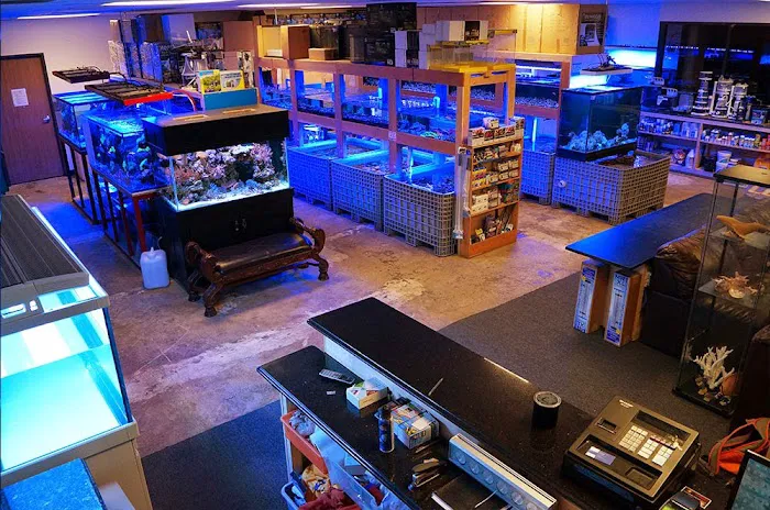 Reef Lounge USA Picture 5