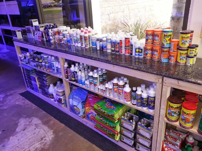 Reef Lounge USA Picture 6