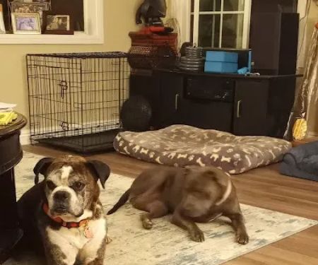 Petco