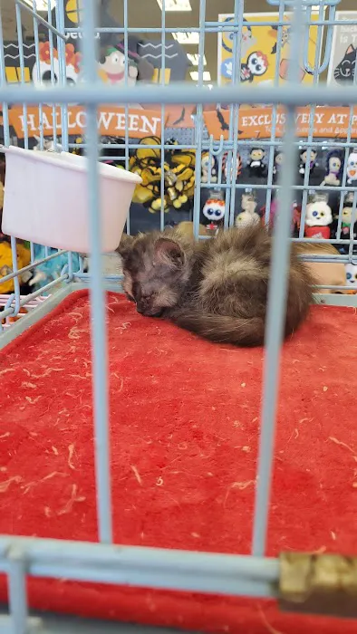 Petco Picture 6