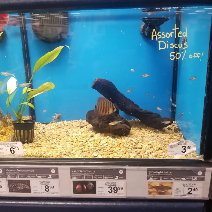 Petco Picture 7