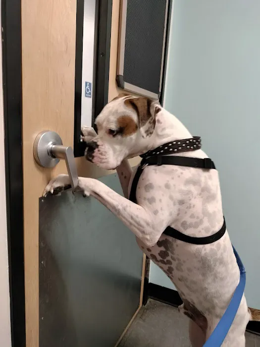 Banfield Pet Hospital Picture 3