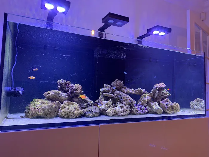Tropical Waters Picture 1