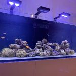 Tropical Waters