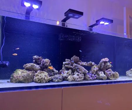 Tropical Waters
