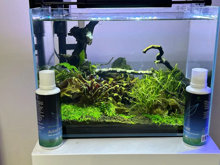 Tropical Waters Picture 2